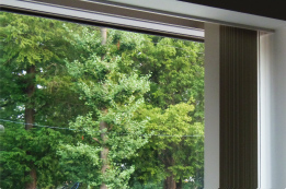 待ち合い室の窓から望める木々の緑